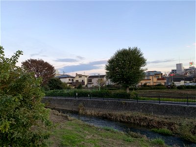 Kurome River in Koyama, Higashikurume-shi in November