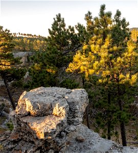 Rock formation and trees