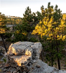 Rock formation and trees photo