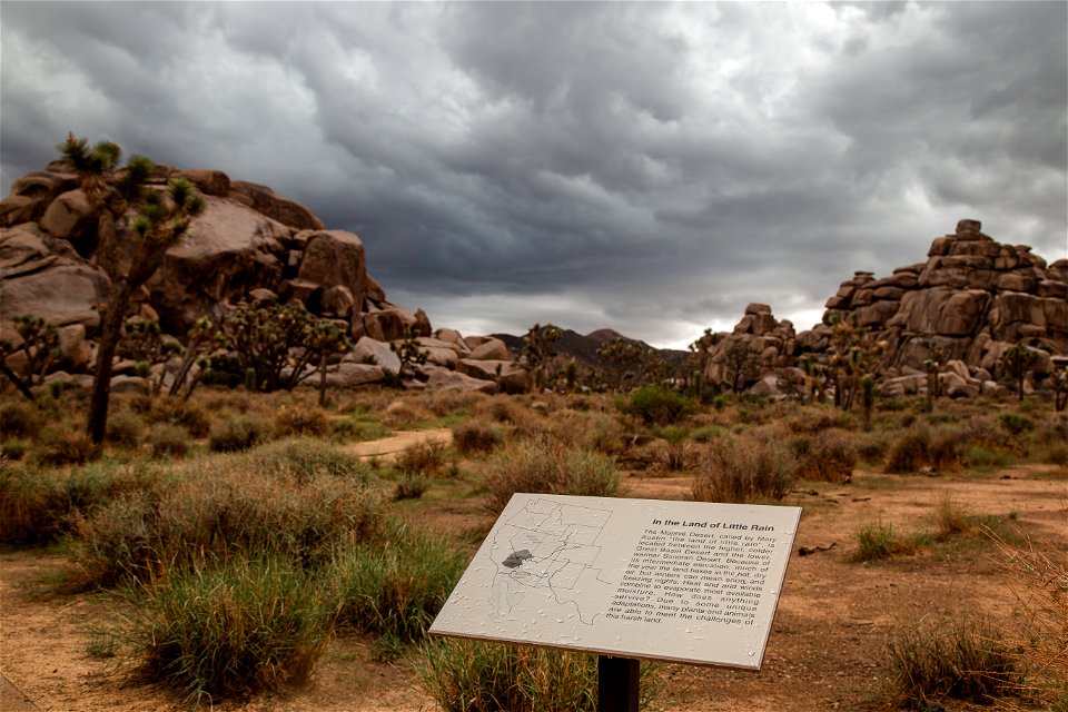 "In the Land of Little Rain" Sign