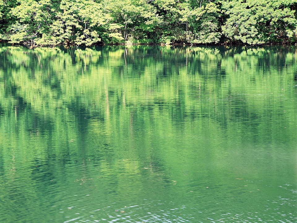 Mighty volcano Mount Fuji is seen from the lake Kawaguchiko
