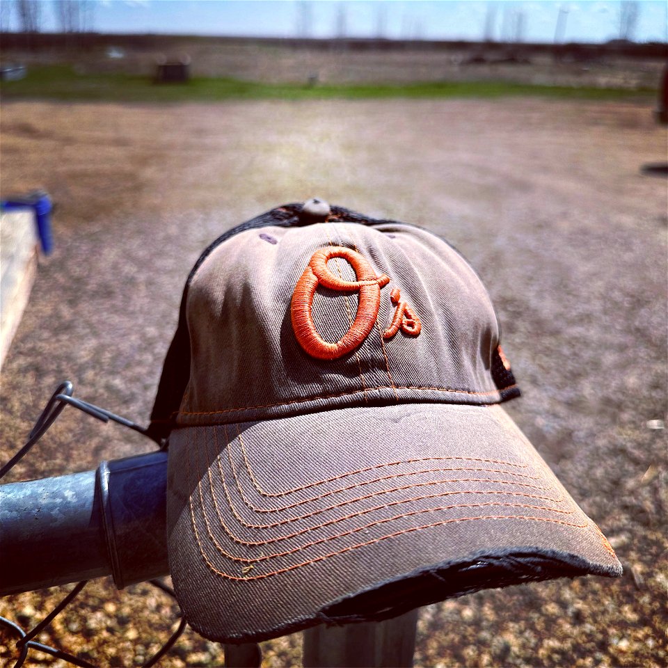 2023/265/128 Orioles of the Prairie