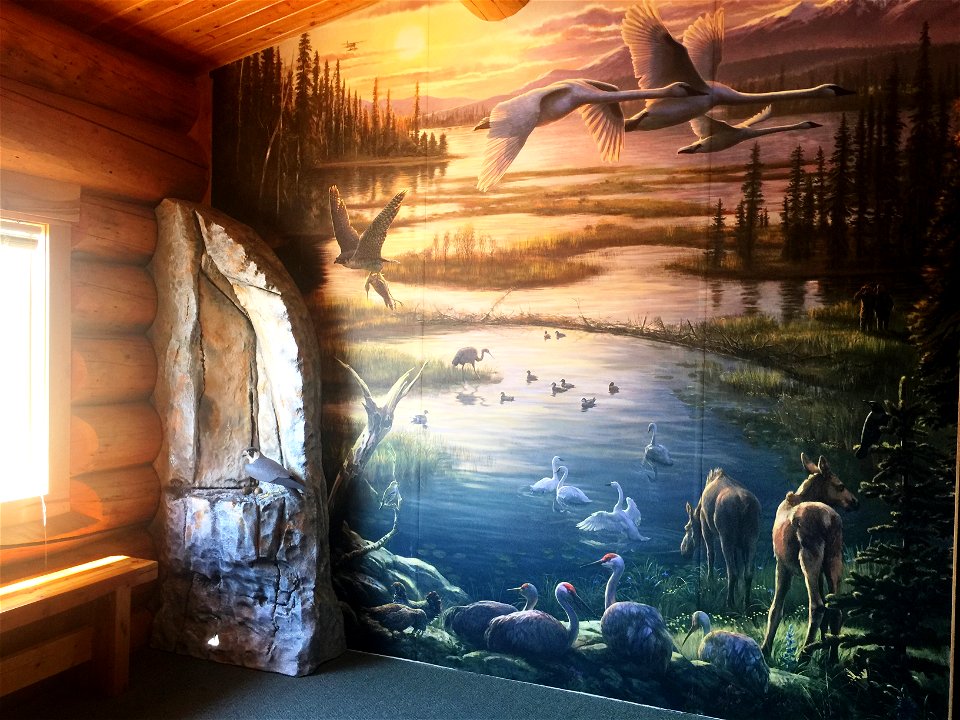 Animal picture wall display