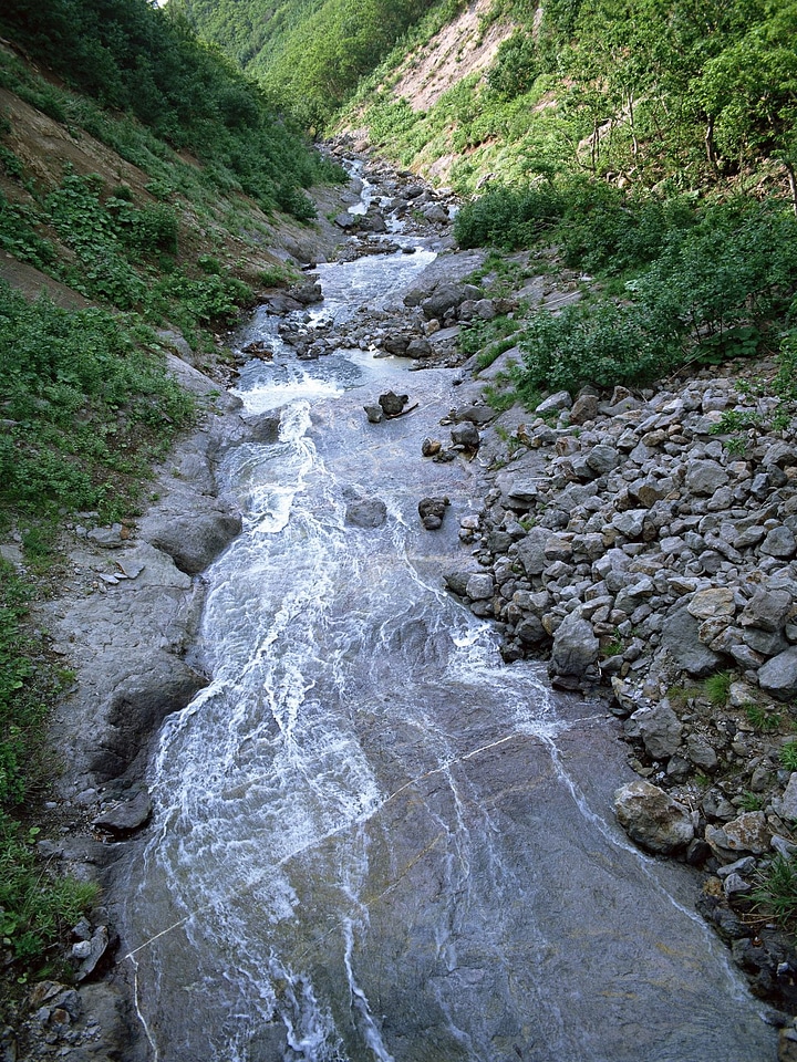 Summer forest and mountain river