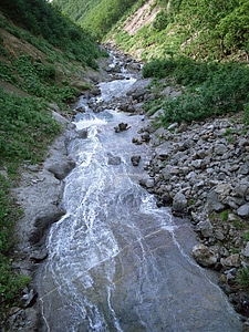 Summer forest and mountain river