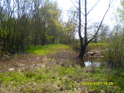 200704_0132