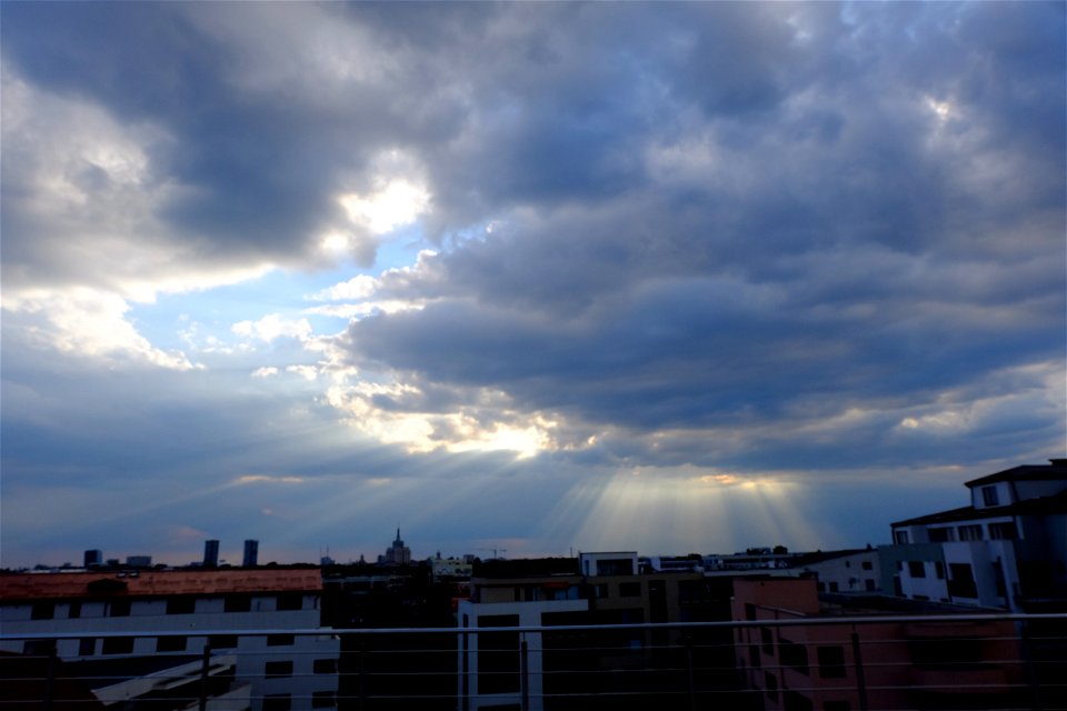 nori-sediu2015_0630_192441