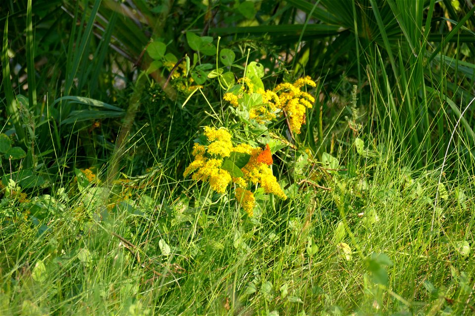 P1940683