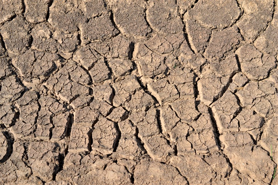 Free textures with cracks
