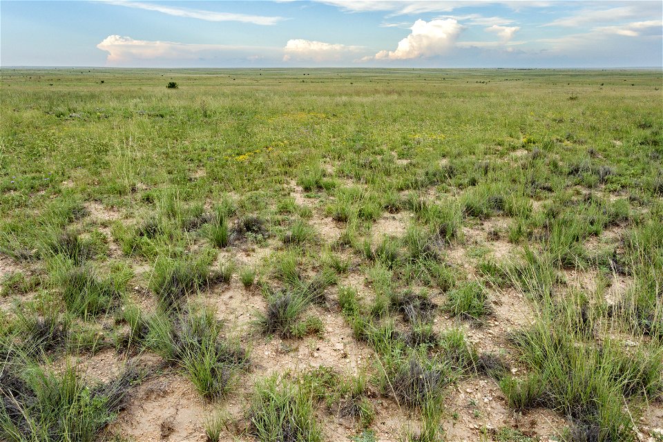 South-southeast of Vaughn