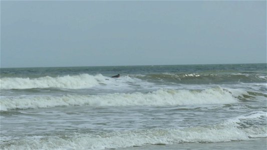 03-16-21-BILLY TYRING TO GET OUT PAST WAVES-P1880810