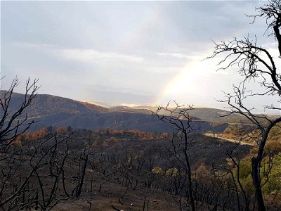 Telegraph Fire photo