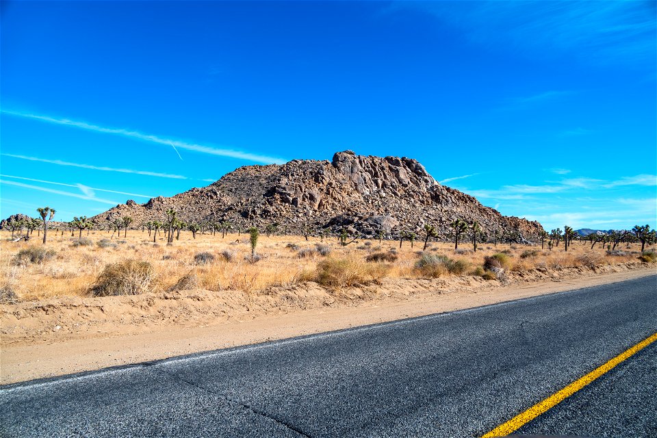 Joshua Tree National Park