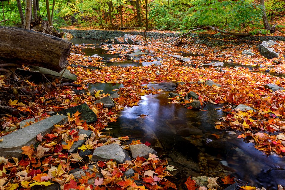 Sawmill Creek