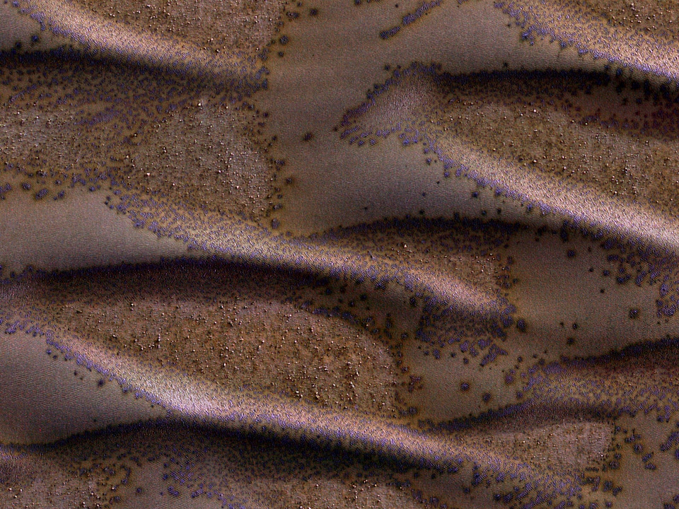 Frosted Dunes on Mars