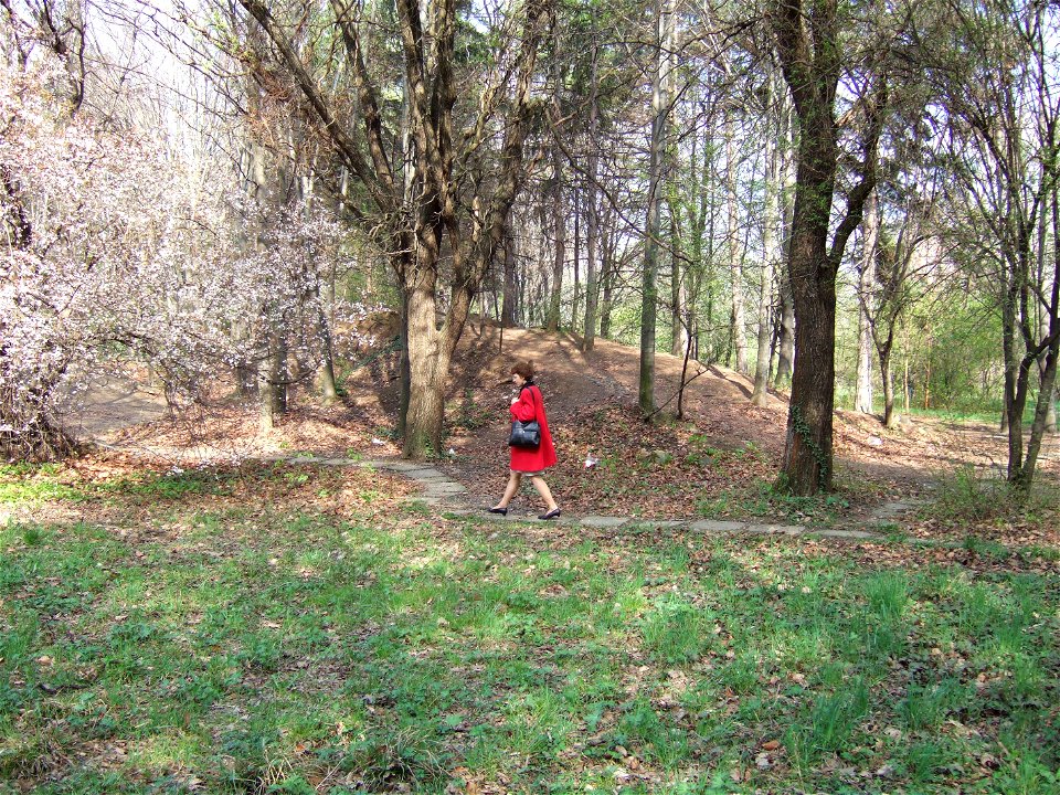 gradina botanica_121