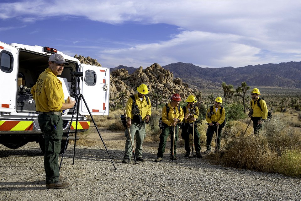 Wildland fire crew near Quail Mountain