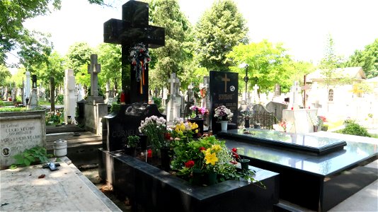 Bellu_cemetery (9)