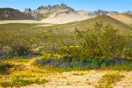 Owens Peak Wilderness Area (Short Canyon)