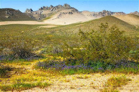 Owens Peak Wilderness Area (Short Canyon) photo