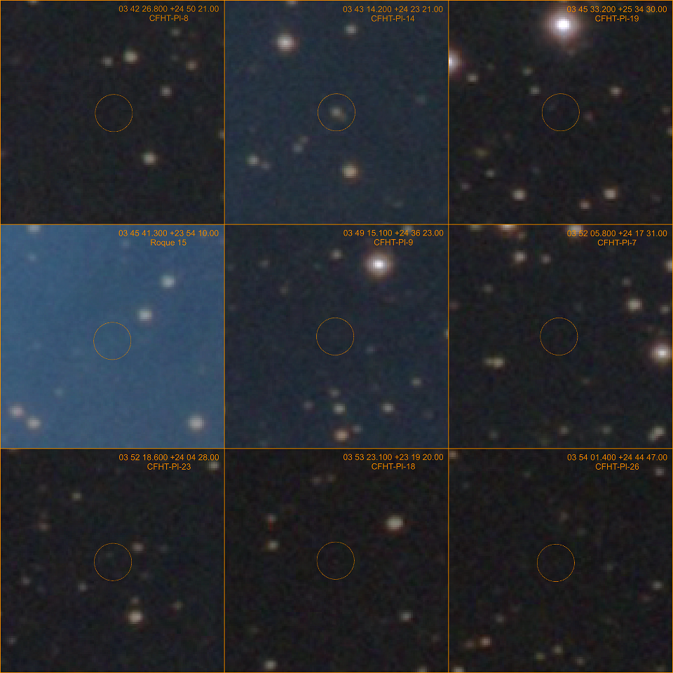 9 BROWN DWARFS CAPTURED WITH A TELEPHOTO AND DSLR