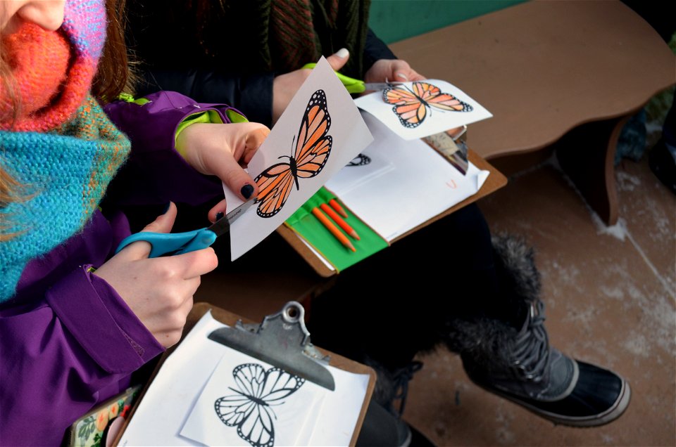 Monarch puppet making