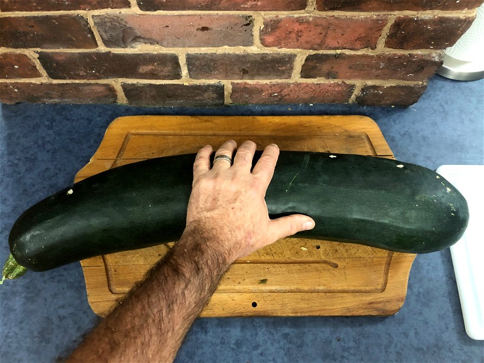 Project Zucchini Pancake: 1 of 10