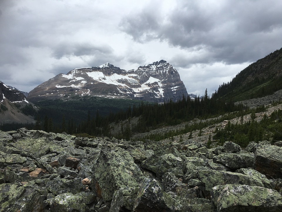 hiking trail in Opabin Plateau above Lake OHara