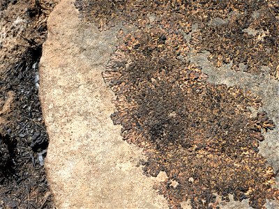 Burned Area Emergency Response media briefing
