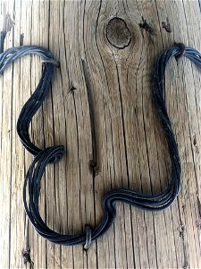 2022/365/338 Telephone Wire Snake