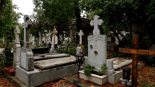 DSC06601