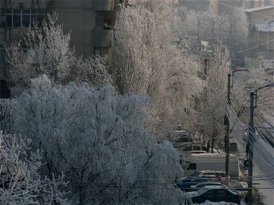 080
