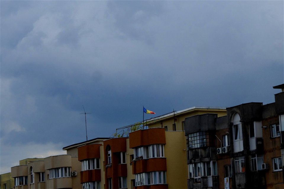nori-Calea_vitan2014_1018_124710