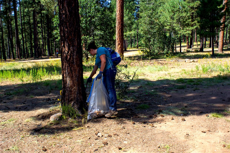 Pickin in the Pines 2021-33