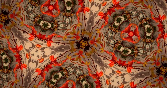Kaleidoscope211210152712