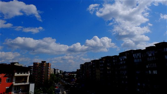 nori-caleaVitan2015_0419_151610