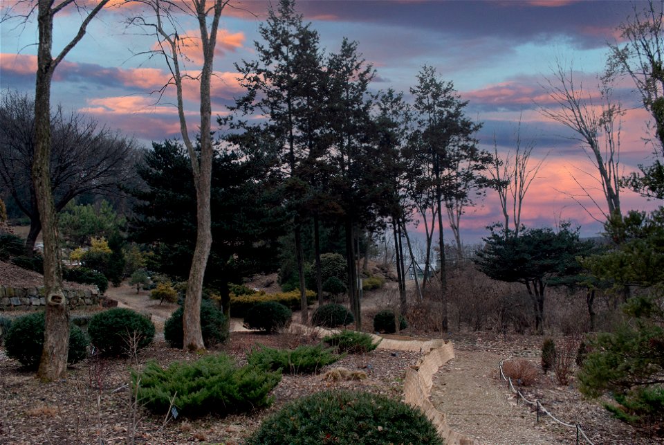 Hantaek Botanical Garden