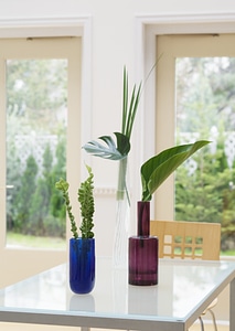 Vase in Green Spadix