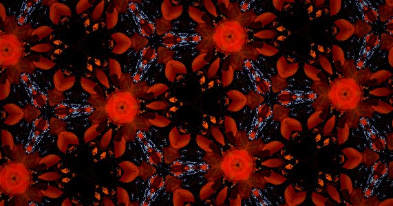Kaleidoscope211210152354