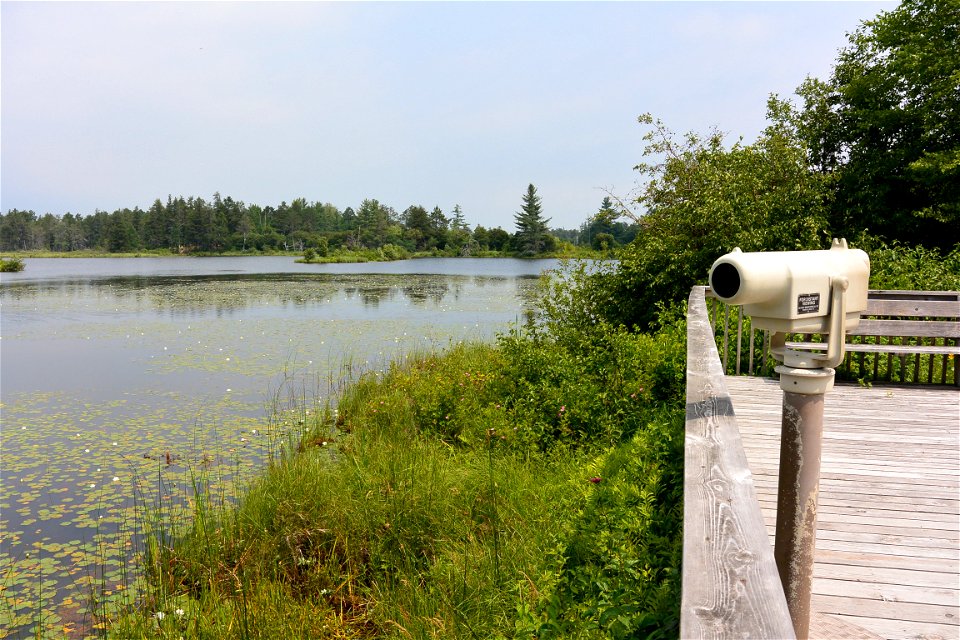 Seney National Wildlife Refuge