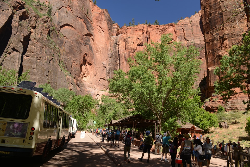 Amazing landscape of canyon in Zion National Park, The Narrow