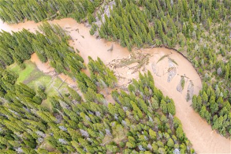 Yellowstone flood event 2022: swollen Soda Butte Creek with log jam