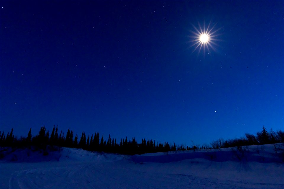 Moon on a winter night