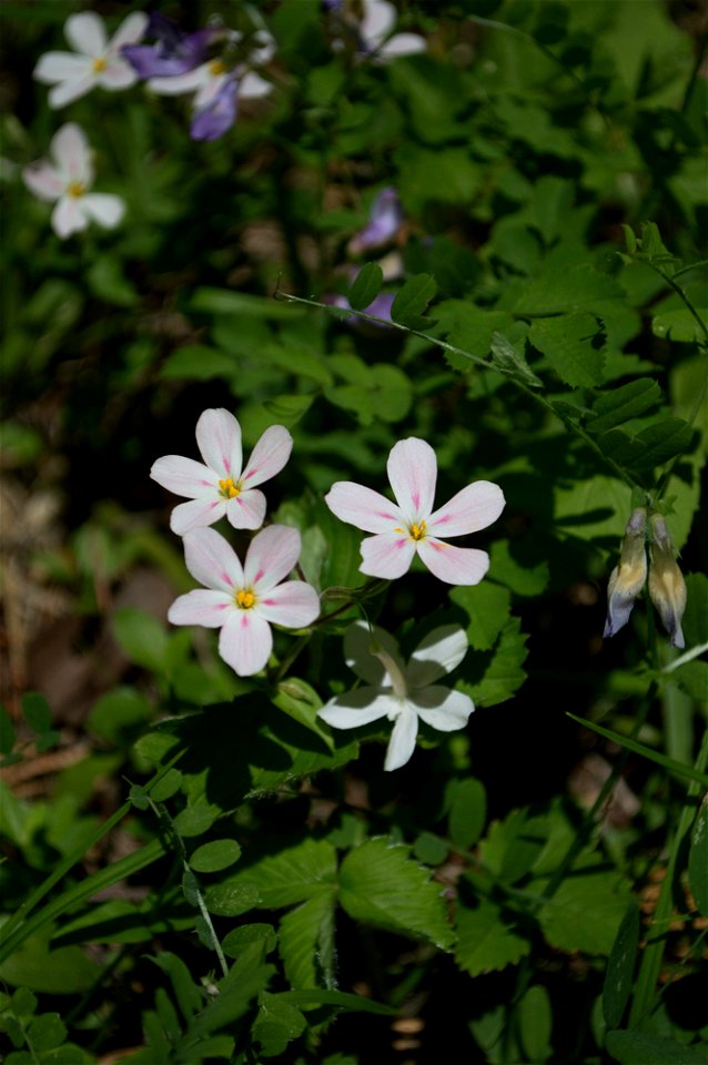 untitled-1280jpg_49385771772_o