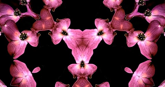 Kaleidoscope230106185538