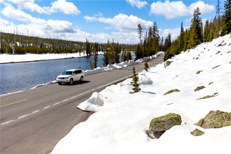 Spring views along the South Entrance road and Lewis River