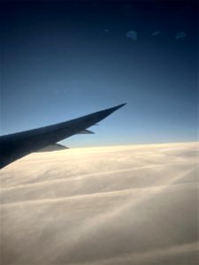 IMG_2213