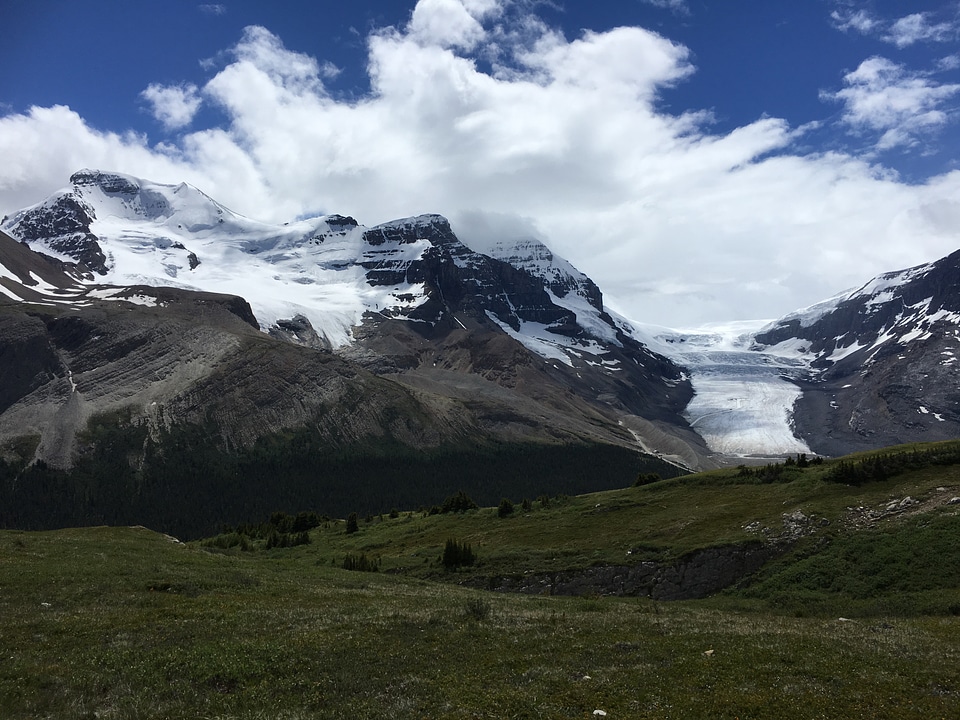 Snow Covered Mt Athabasca From the Wilcox Pass Trail