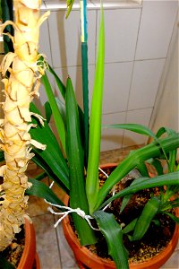 fabulous-foliage_2017_1123_090829