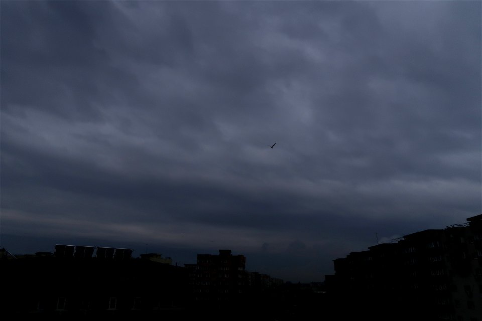 Cer-Nori_Clouds_evening_ nubes-cielo (56)
